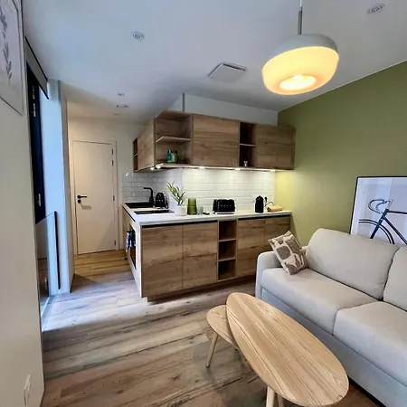 Lillehosts 1, Vieux Lille, Newly Renovated, Modern & Stylish Apartment, Perfectly Located ליל
